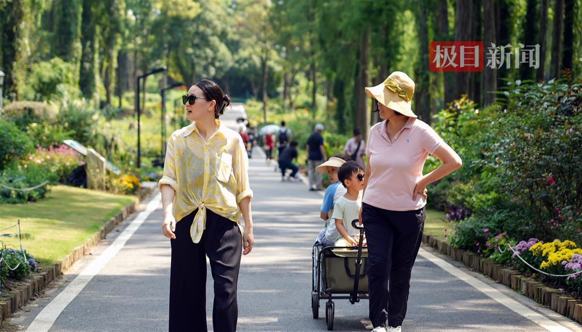 pt电游